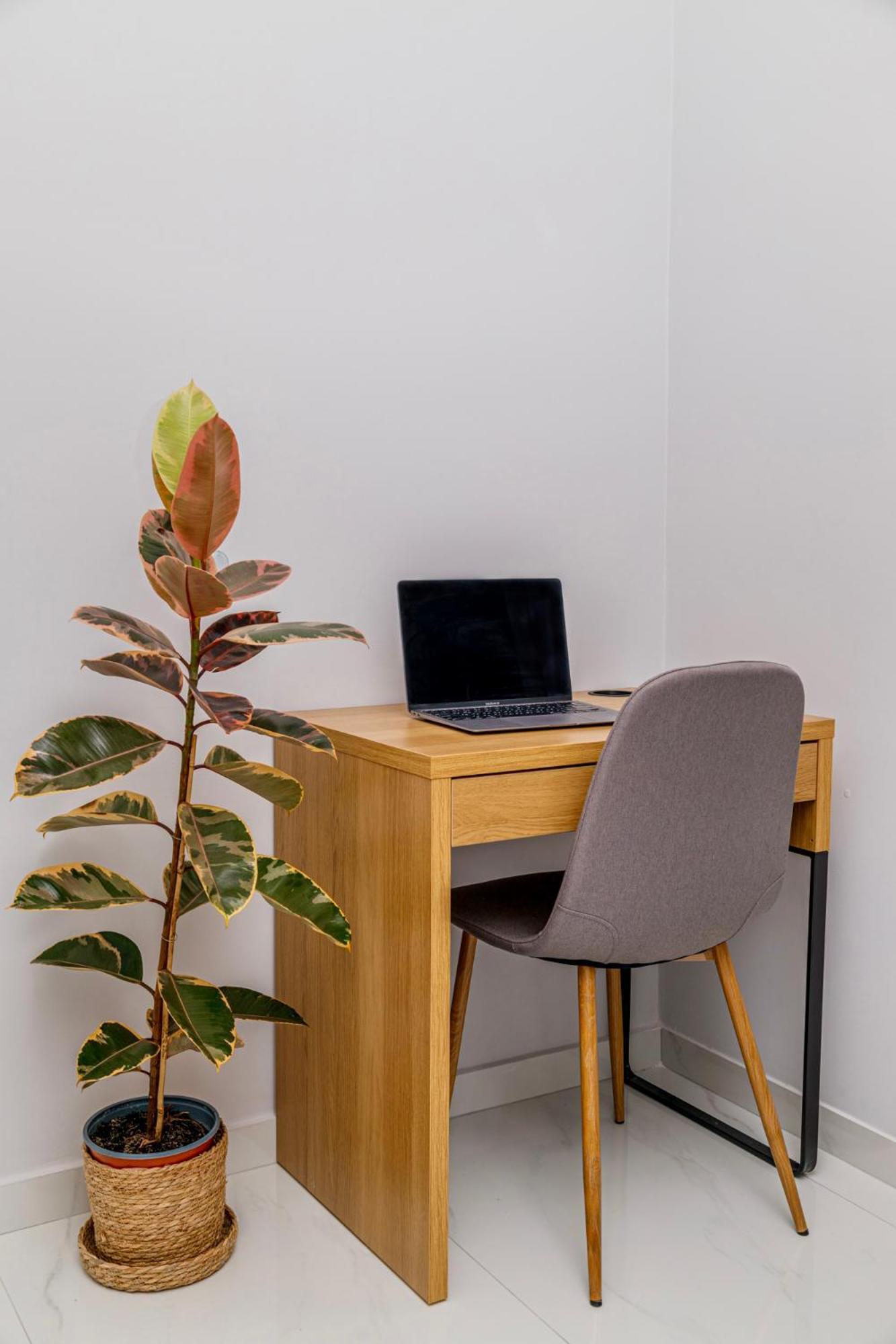 Cozy Studio In The City Center 塞萨洛尼基 外观 照片